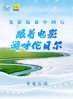 月光视频在线观看免费完整版